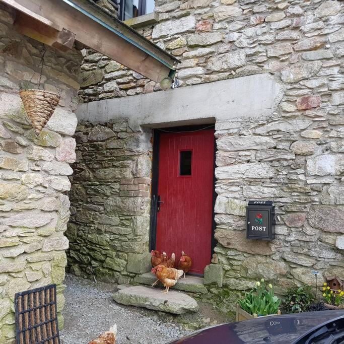 Kingsford Renovated Old Cottage Γουέξφορντ Εξωτερικό φωτογραφία