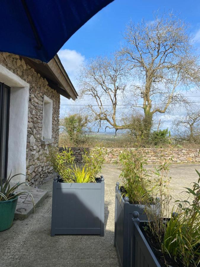 Kingsford Renovated Old Cottage Γουέξφορντ Εξωτερικό φωτογραφία