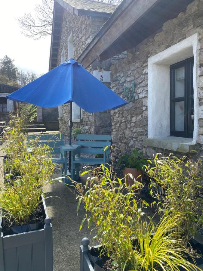 Kingsford Renovated Old Cottage Γουέξφορντ Εξωτερικό φωτογραφία